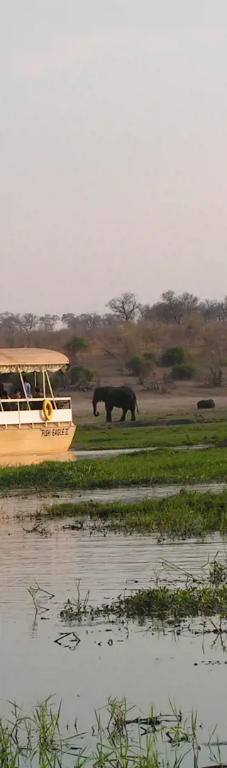 Bootstour im Chobe-Nationalpark